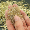Copper-coated Steel Fiber